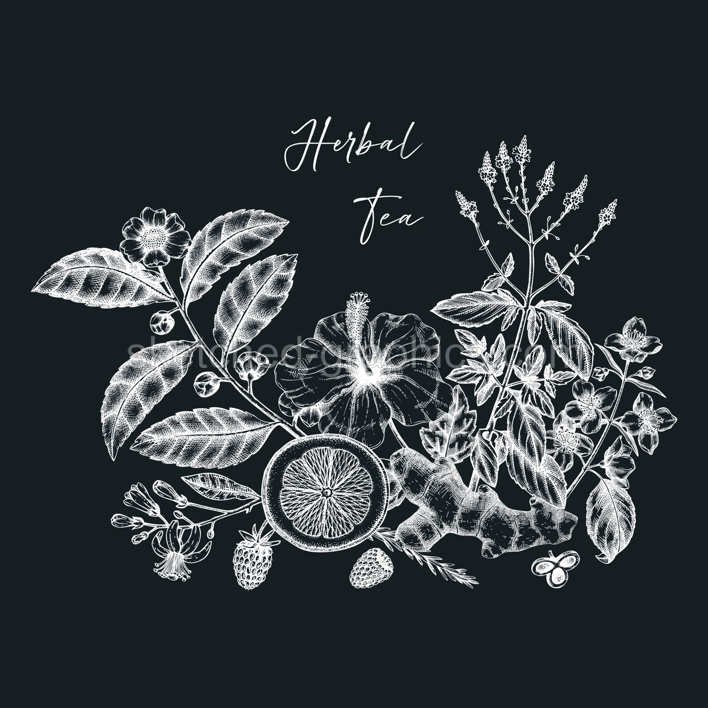 Hand-sketched tea drinks vintage illustration on chalkboard. Vector sketches of hot beverage cups, dried leaves, jasmine blossoms. Popular tea drawings for a card, an invitation, or café menu design Illustration